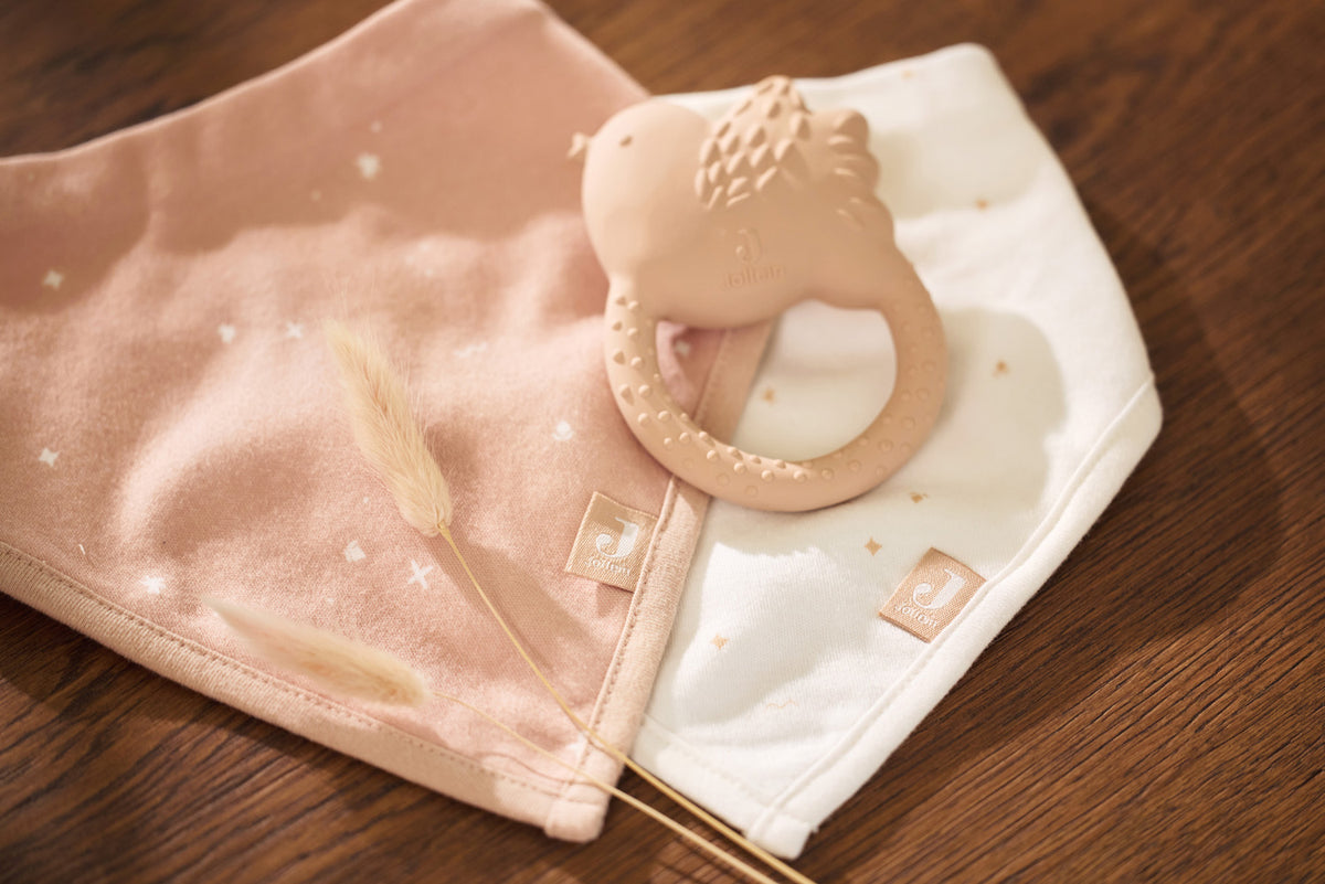 Bavoirs bandana (Lot de 2) Twinkling Wild Rose